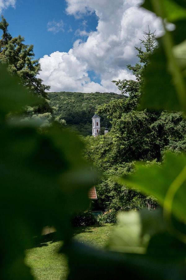Gardenlux Vrdnik Apartment Bagian luar foto