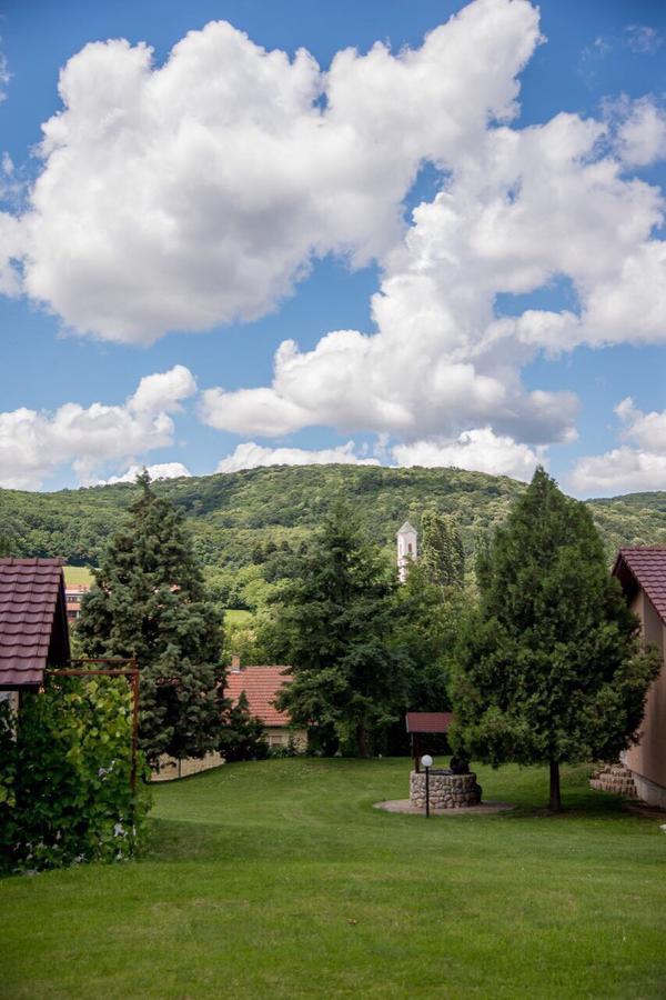 Gardenlux Vrdnik Apartment Bagian luar foto